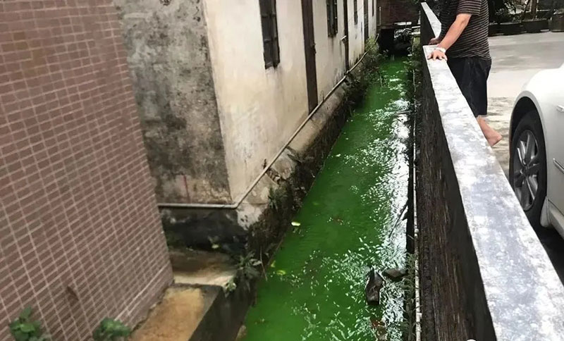 觸目驚心!水全都“染綠”了!多家企業被查處! 觸目驚心!水全都“染綠”了!多家企業被查處!